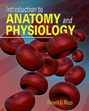 Test Bank For An Introduction to Anatomy and Physiology 1st Edition By Donald